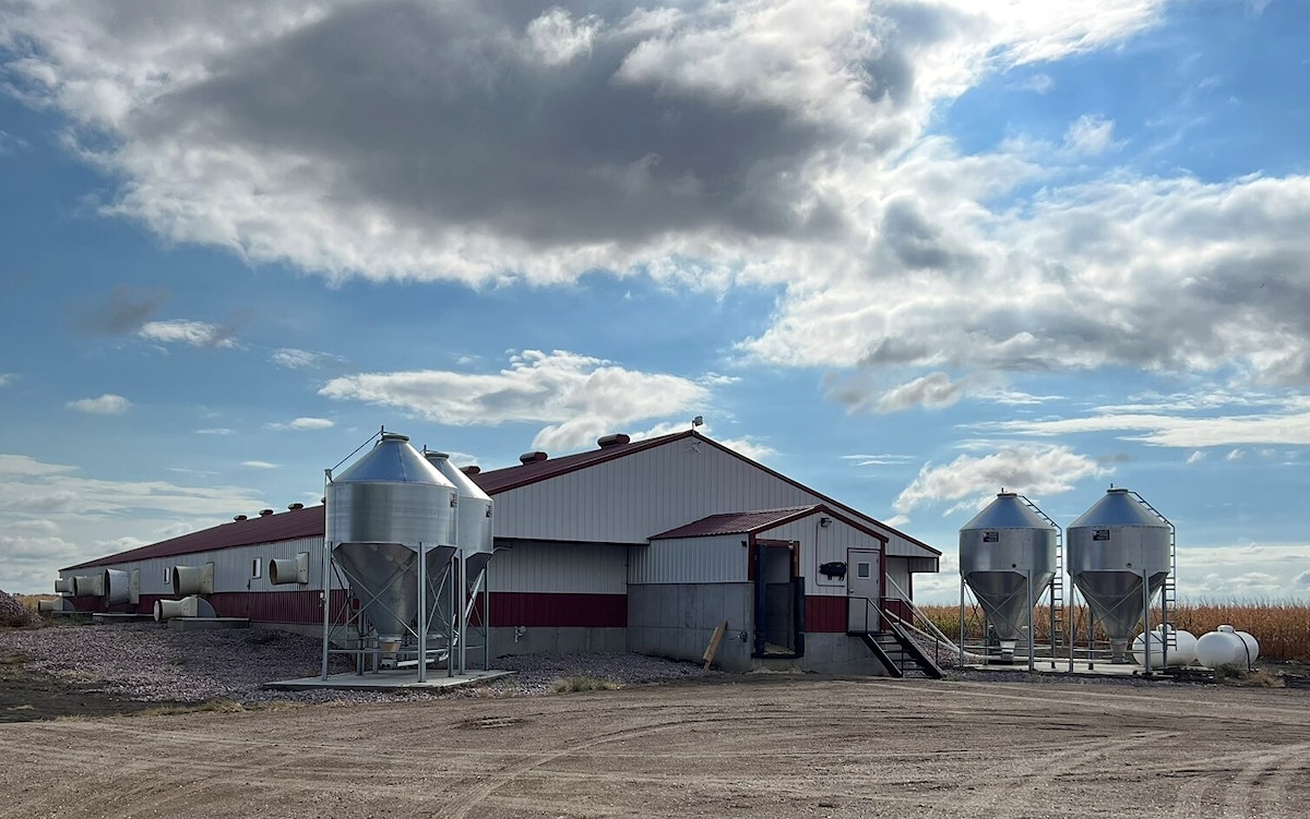 Hog Barn Near Mount Vernon hog-barn-near-mount-vernon