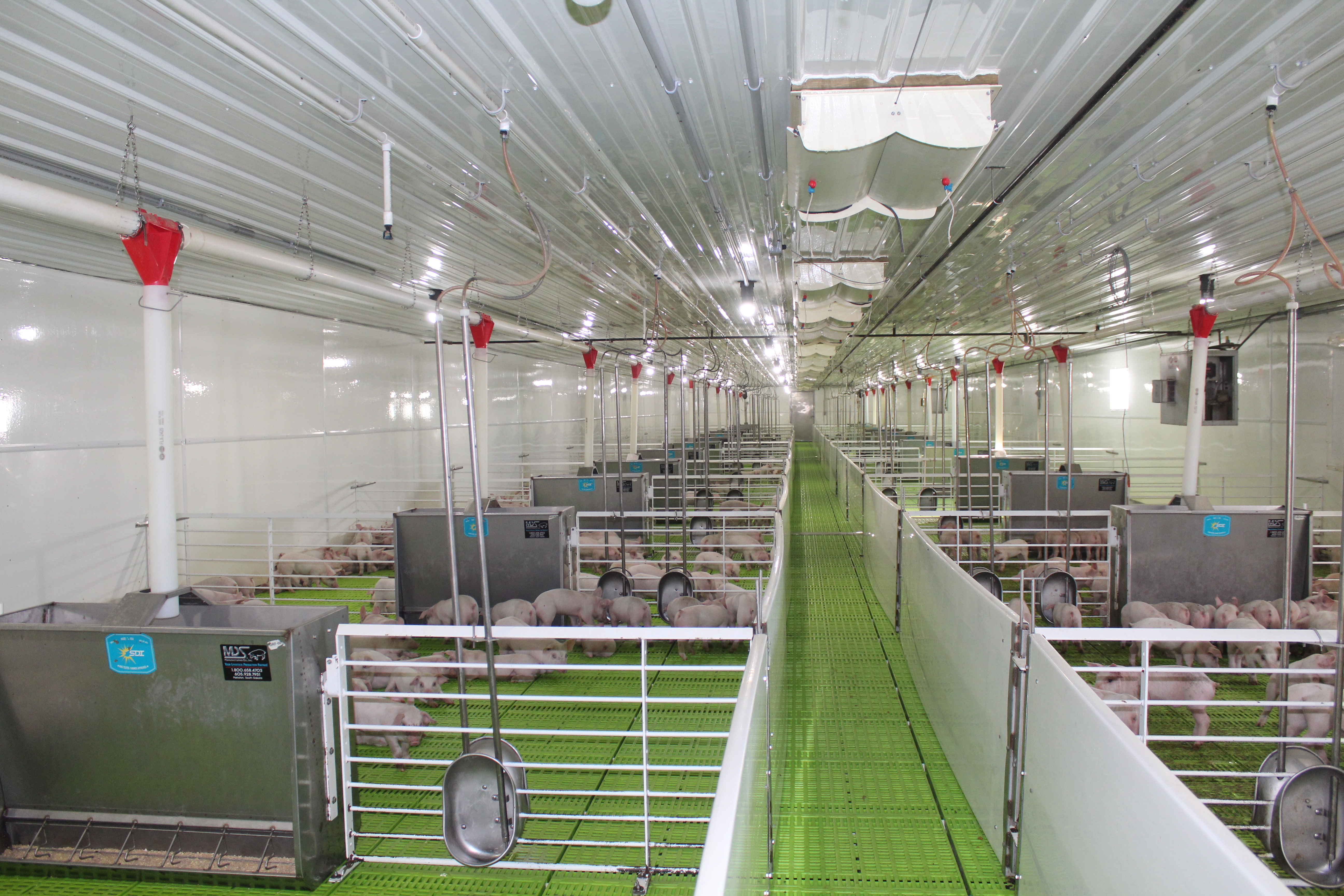 hog-barn-near-mount-vernon